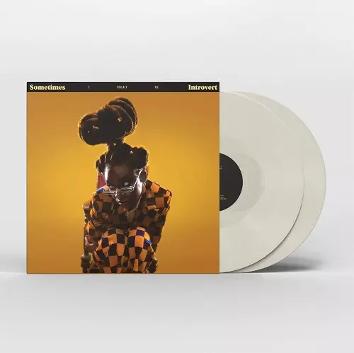 Little Simz Sometimes I Might Be レコード Sometimes I Might Be Introvert 