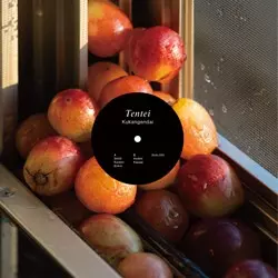 Kukangendai / 空間現代 / Tentei