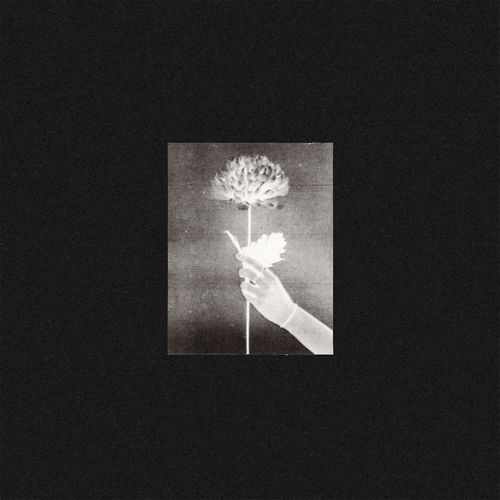 WHITE FLOWERS / DAY BY DAY (LP)