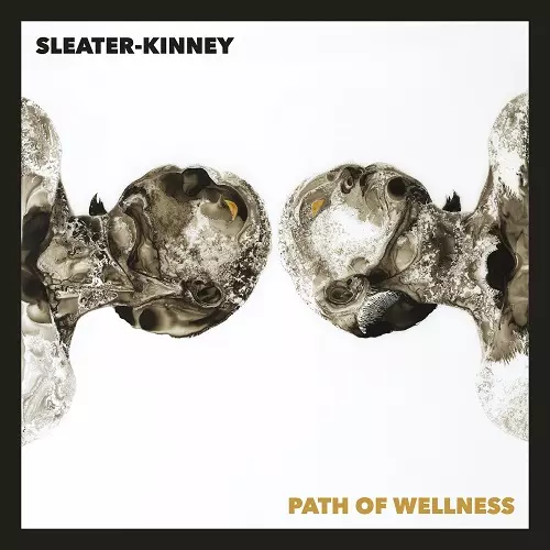 SLEATER-KINNEY DIG ME OUT 名盤オリジナル盤レコード SLEATER-KINNEY DIG ME OUT 名盤オリジナル盤レコード