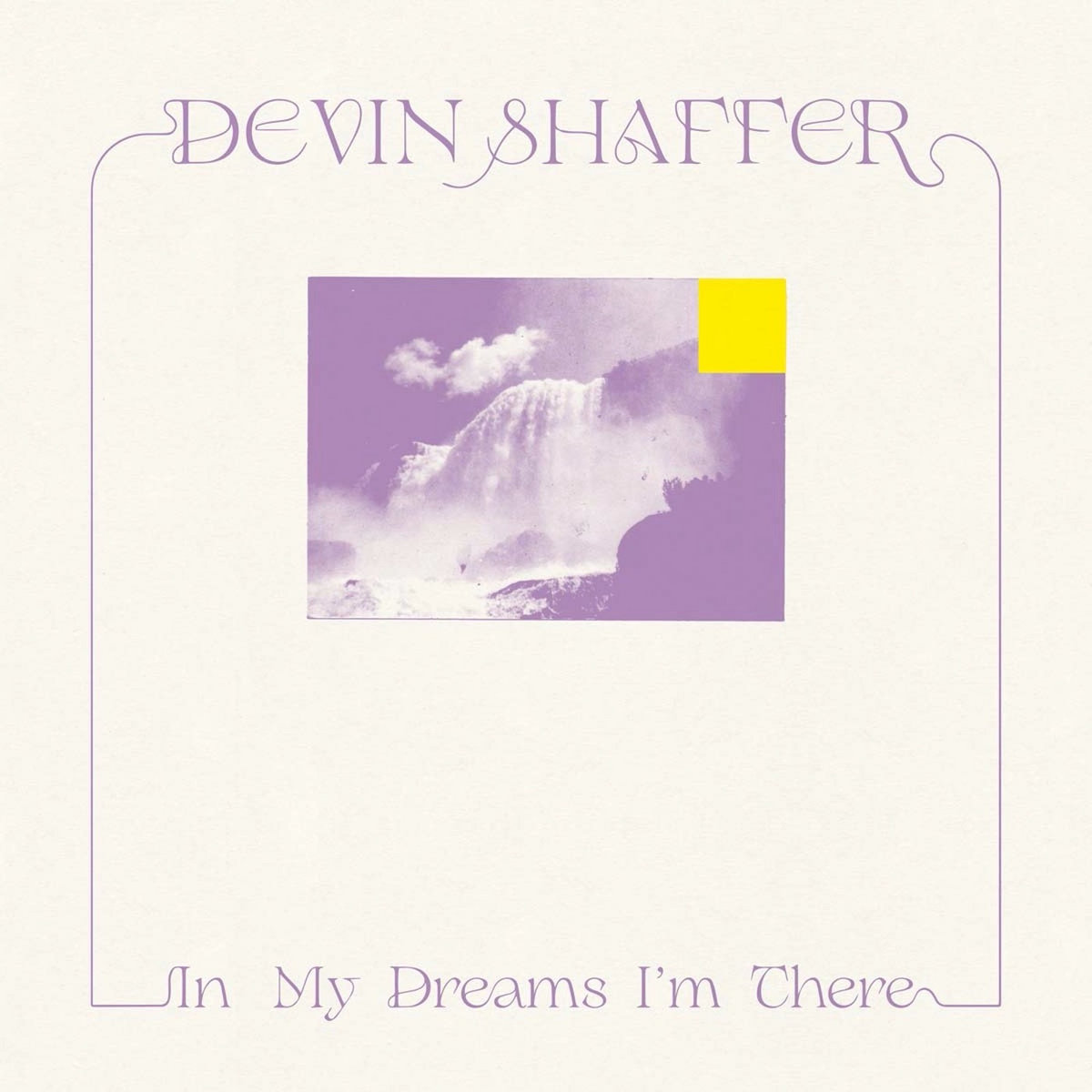 DEVIN SHAFFER / デヴィン・シェイファー / IN MY DREAMS I'M THERE (CD)