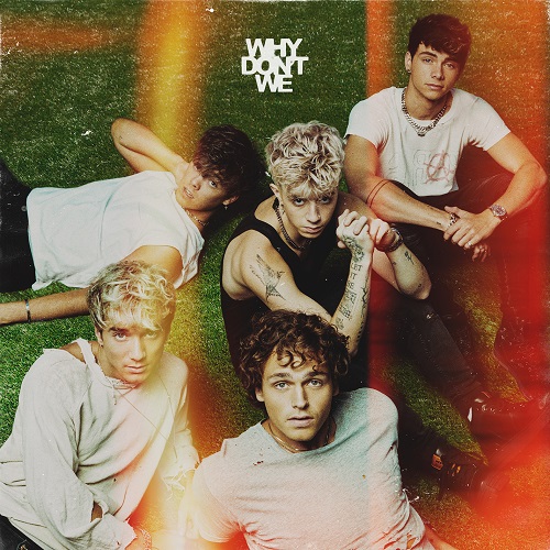 WHY DON'T WE / ホワイ・ドント・ウィー / THE GOOD TIMES AND THE BAD ONES [VINYL]