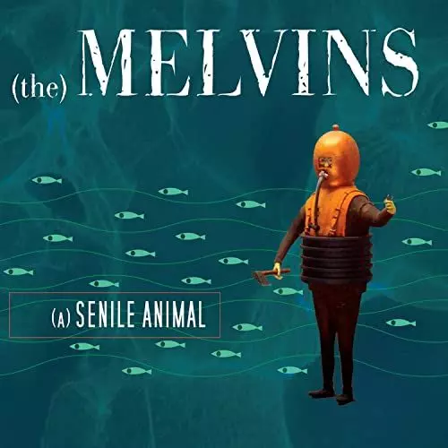 A SENILE ANIMAL(COLOR VINYL)/MELVINS/メルヴィンズ｜ROCK / POPS
