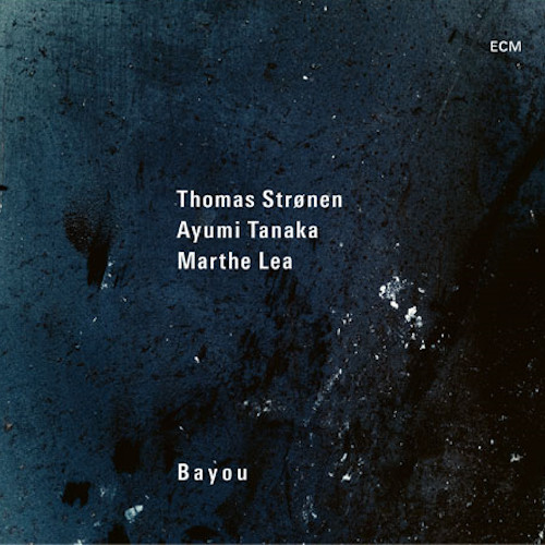 THOMAS STRONEN / トーマス・ストレーネン / Bayou(LP)