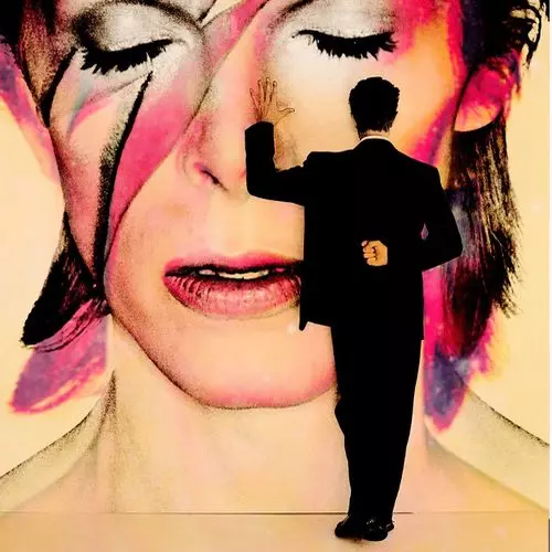 DAVID BOWIE / デヴィッド・ボウイ / LIVE BOWIE (10CD)