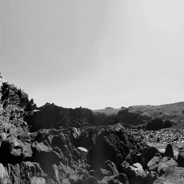 SIX ORGANS OF ADMITTANCE / シックス・オルガンズ・オブ・アドミッタンス / THE VEILED SEA (VINYL)