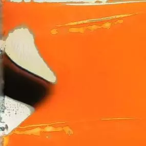 VIVIAN KOCH / BEYOND CONTACT