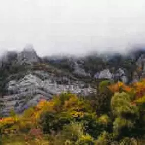 NEWWORLDAQUARIUM / ABOVE EP