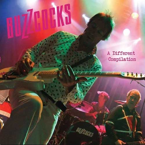 BUZZCOCKS / バズコックス / A DIFFERENT COMPILATION (2LP)