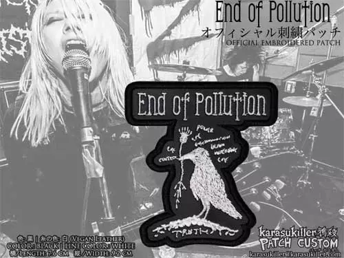 邦楽 END OF POLLUTION (CD) crust End Of Pollution Discography: Vinyl, CDs, & More | Discogs