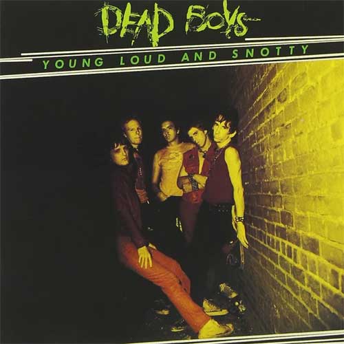 DEAD BOYS / デッド・ボーイズ / YOUNG, LOUD AND SNOTTY (LP/YELLOW VINYL)