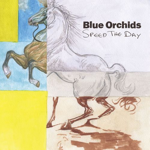 BLUE ORCHIDS / SPEED THE DAY (LP)