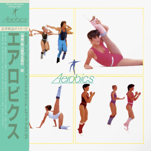 YUJI TORIYAMA / 鳥山雄司 / Aerobics(LP)