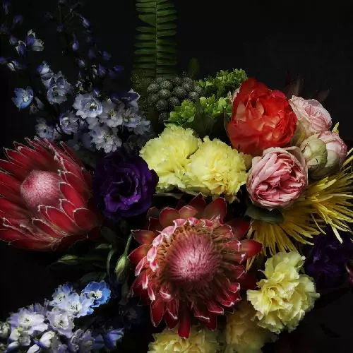 COLD CAVE / コールド・ケイヴ / FATE IN SEVEN LESSONS (PICTURE VINYL)