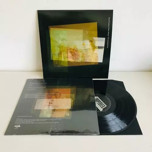 DAVID GRUBBS AND NIKOS VELIOTIS / デイヴィッド・グラブス & ニコス・ヴェリオティス / THE HARMLESS DUST (LP)