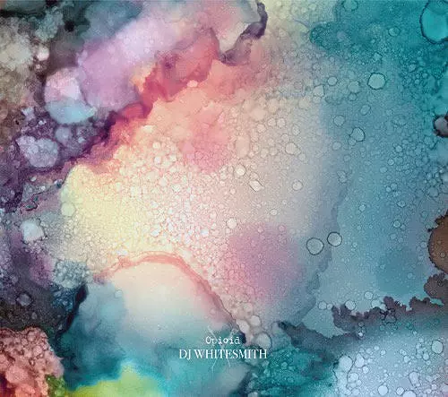 DJ WHITESMITH SHING02 なのるなもない Meiso RUMI - メルカリ