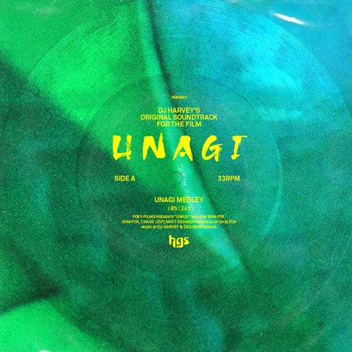DJ HARVEY / DJハーヴィー / DJ HARVEY'S ORIGINAL SOUNDTRACK TO THE FILM UNAGI(FLEXIDISC)
