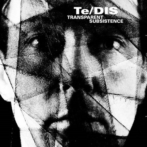 TE/DIS / TRANSPARENT SUBSISTENCE(LP)
