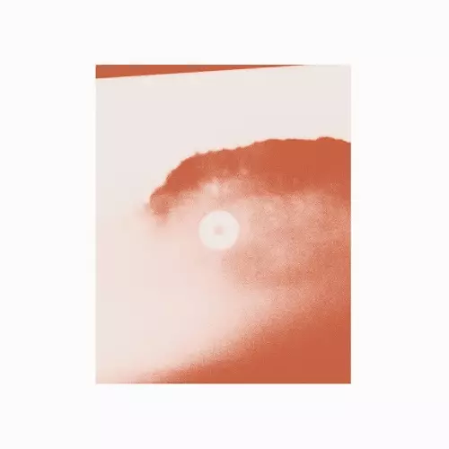SIAVASH AMINI / A TRAIL OF LAUGHTERS
