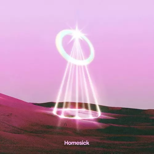 BROTHER SUN SISTER MOON (J-POP) / Homesick (10")