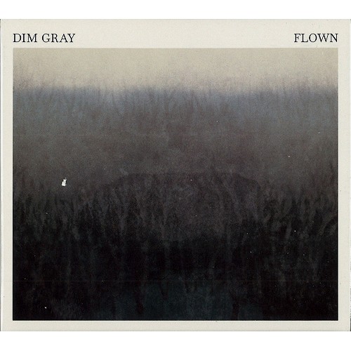 DIM GRAY / FLOWN