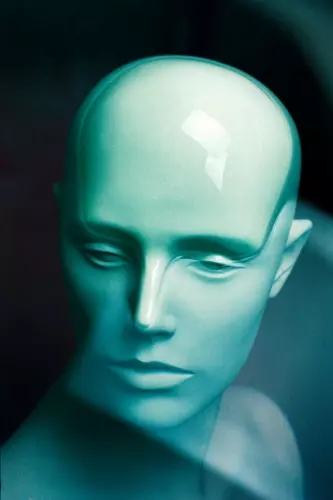 LINN MORI / Metamorphosis