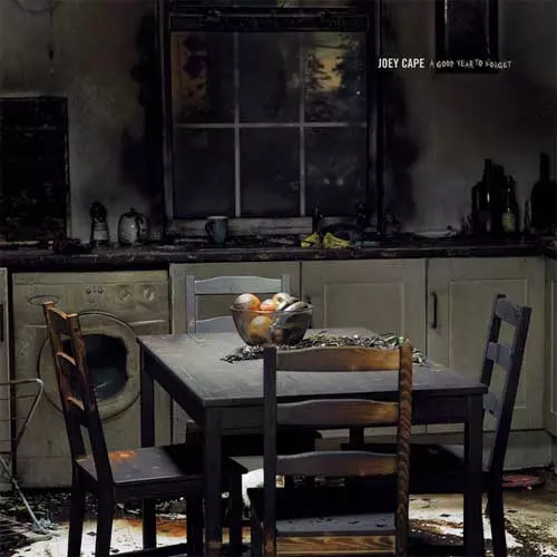 JOEY CAPE / ジョーイケープ / A GOOD YEAR TO FORGET