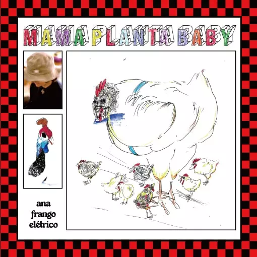ANA FRANGO ELETRICO / アナ・フランゴ・エレトリコ / MAMA PLANTA BABY / MULHER HOMEM BICHO