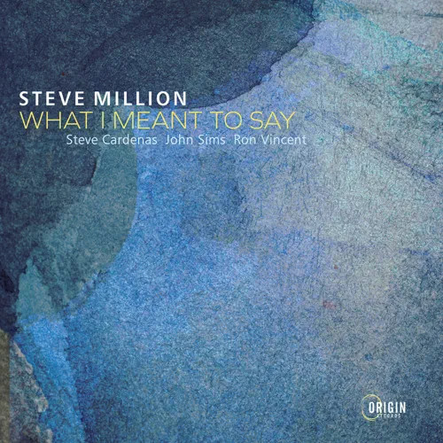STEVE MILLION / What I Meant to Say