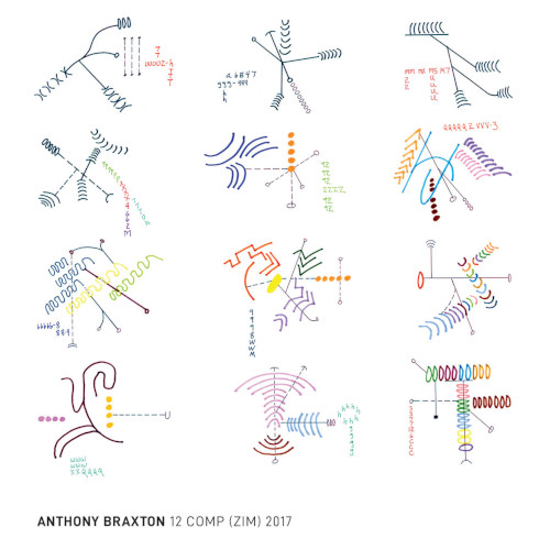 ANTHONY BRAXTON / アンソニー・ブラクストン / 12 Comp (ZIM) 2017(Blu-ray Audio)