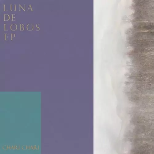 CHARI CHARI / チャリ・チャリ / LUNA DE LOBOS EP