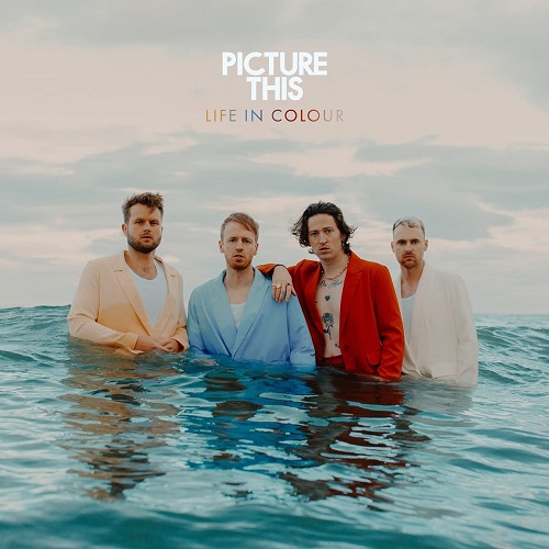PICTURE THIS / ピクチャー・ディス / LIFE IN COLOUR