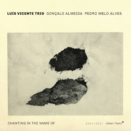 LUIS VICENTE / Chanting In The Name Of