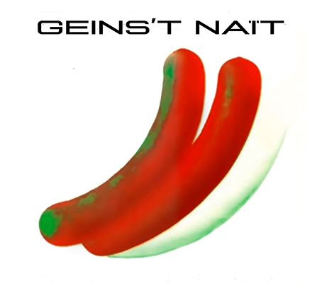 GEINS'T NAIT / GN (CD)