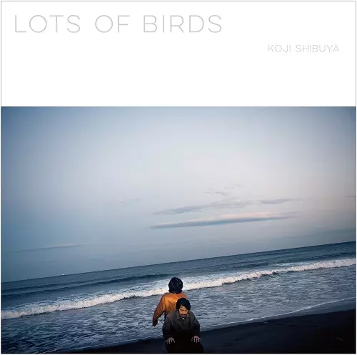澁谷浩次 / ロッツ・オブ・バーズ