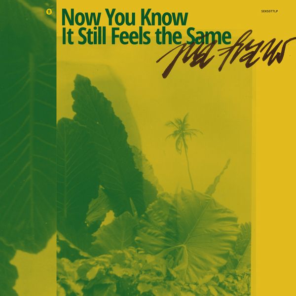 PIA FRAUS / ピア・フラウス / NOW YOU KNOW IT STILL FEELS THE SAME (CD)