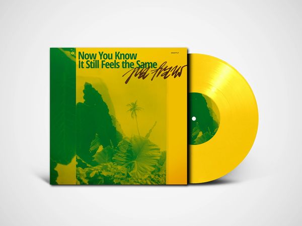 PIA FRAUS / ピア・フラウス / NOW YOU KNOW IT STILL FEELS THE SAME (YELLOW VINYL)