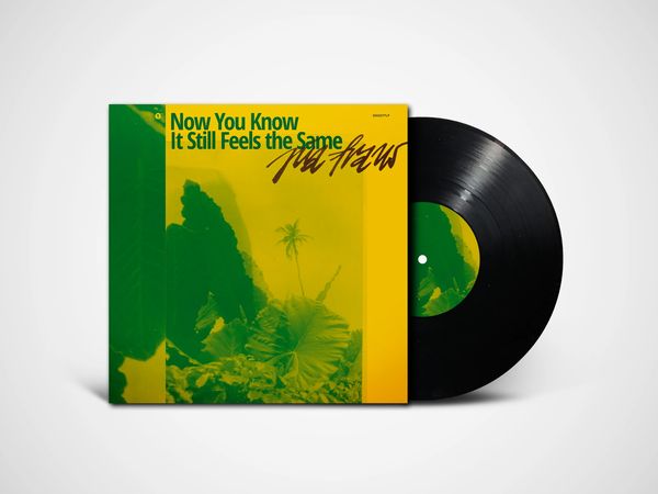 PIA FRAUS / ピア・フラウス / NOW YOU KNOW IT STILL FEELS THE SAME (BLACK VINYL)