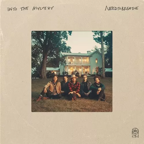 NEEDTOBREATHE / ニードトゥブリーズ / INTO THE MYSTERY [VINYL]