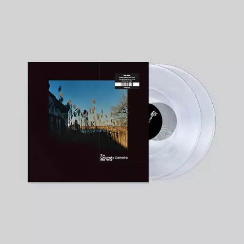 CINEMATIC ORCHESTRA / シネマティック・オーケストラ / MA FLEUR (2LP CLEAR VINYL)