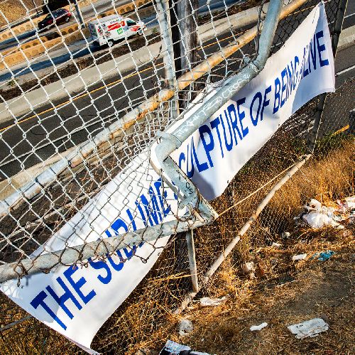 THE SUBLIME SCULPTURE OF BEING ALIVE (LP)/MEDIA JEWELER/奇才MICKEY YOUNGの