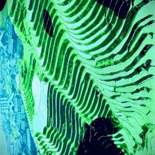 INUGAMI / LIVE AT GEMINI LAKE