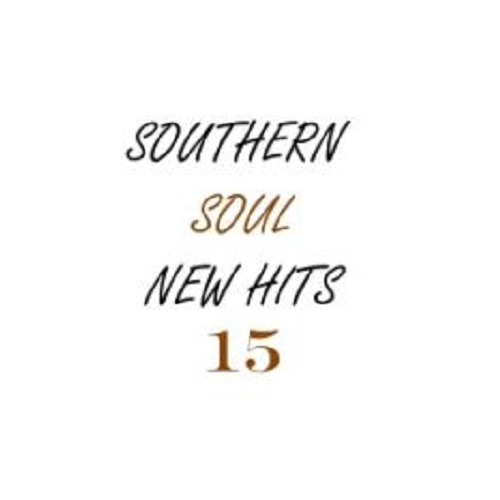 V.A. (SOUTHERN SOUL : NEW HITS) / SOUTHERN SOUL NEW HITS 15 (CD-R)