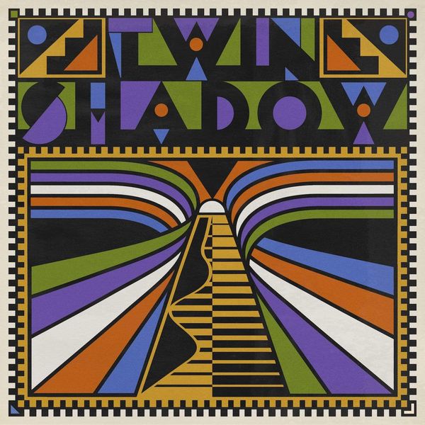 TWIN SHADOW / ツイン・シャドウ / TWIN SHADOW (LP)