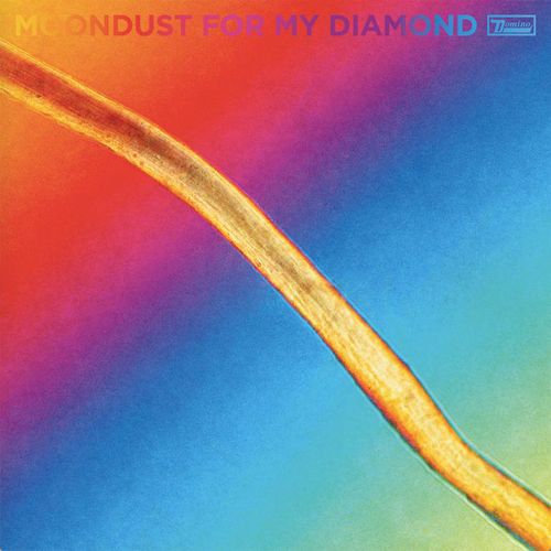 HAYDEN THORPE / MOONDUST FOR MY DIAMOND(LP)