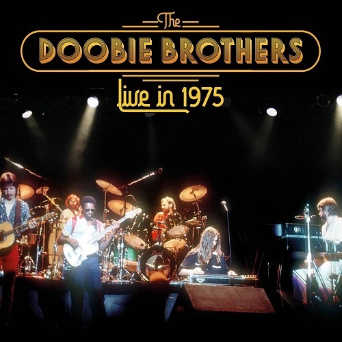 DOOBIE BROTHERS / ドゥービー・ブラザーズ / ライヴ・イン1975