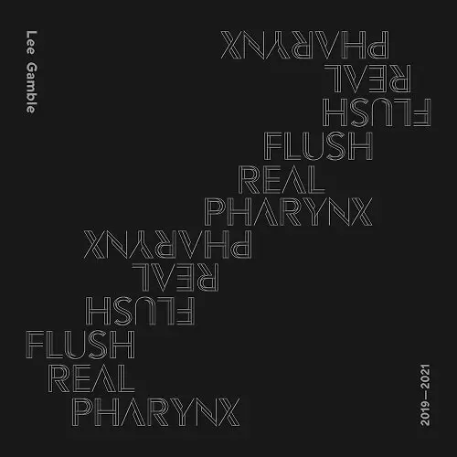 LEE GAMBLE / リー・ギャンブル / FLUSH REAL PHARYNX 2019-2021