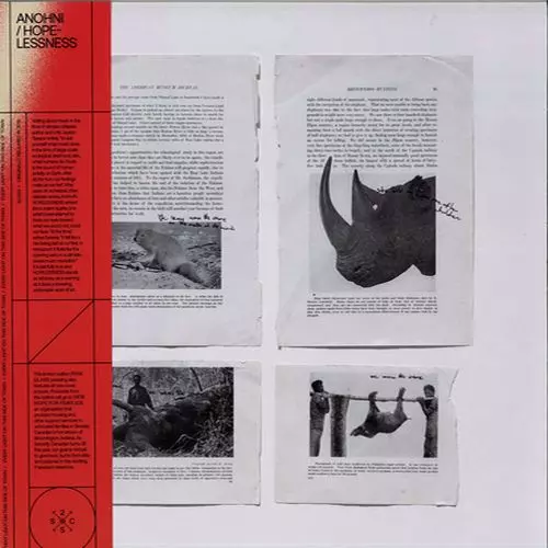 ANOHNI / アノーニ商品一覧｜ディスクユニオン・オンライン