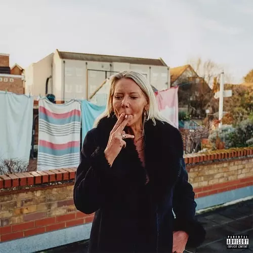 JOY ORBISON / ジョイ・オービソン / STILL SLIPPING VOL.1 (LP)