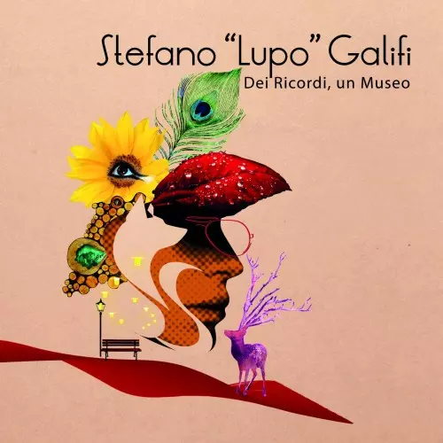 STEFANO GALIFI / DEI RICORDI, UN MUSEO